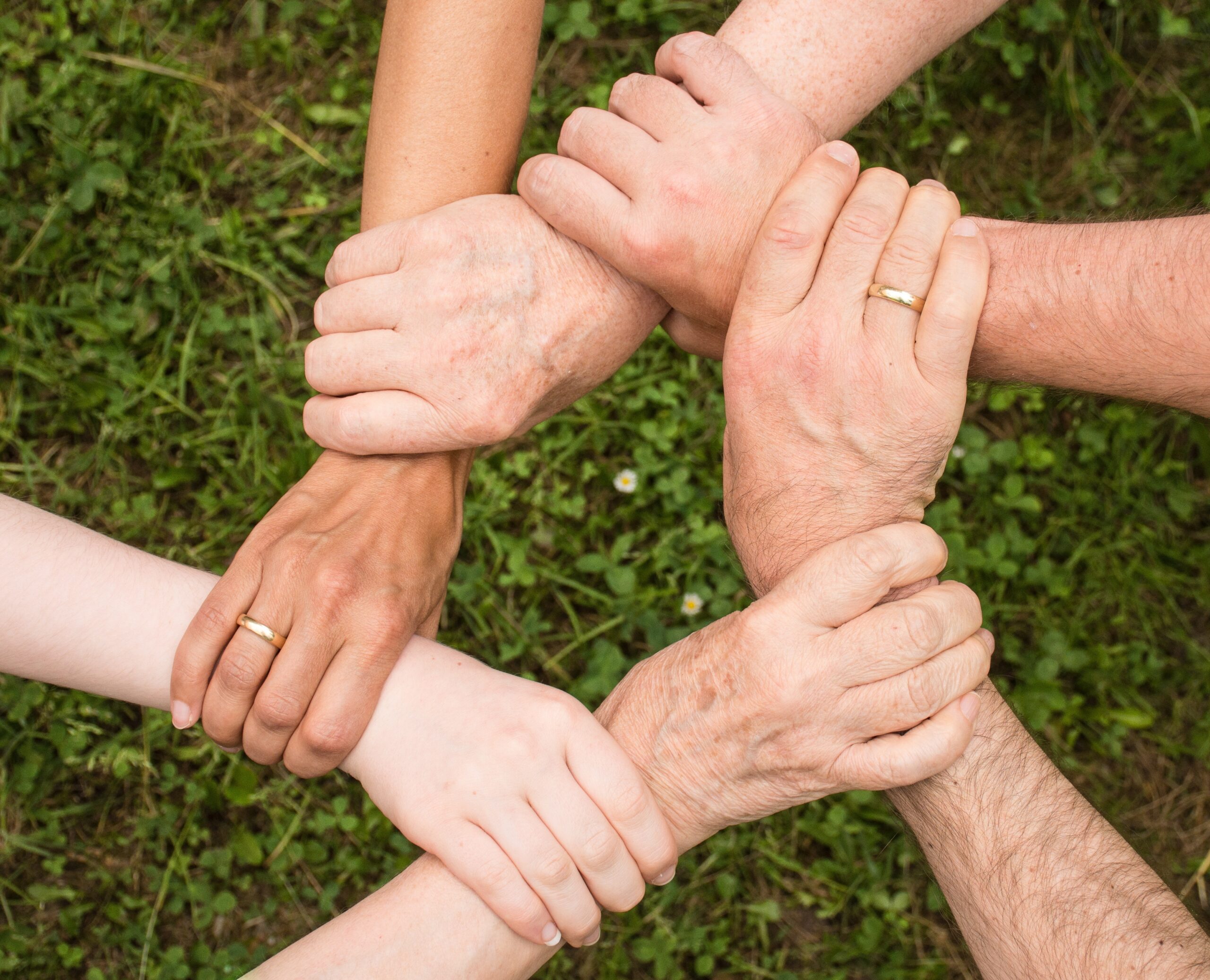collaboration-community-cooperation-461049 collaboration-community-cooperation-461049